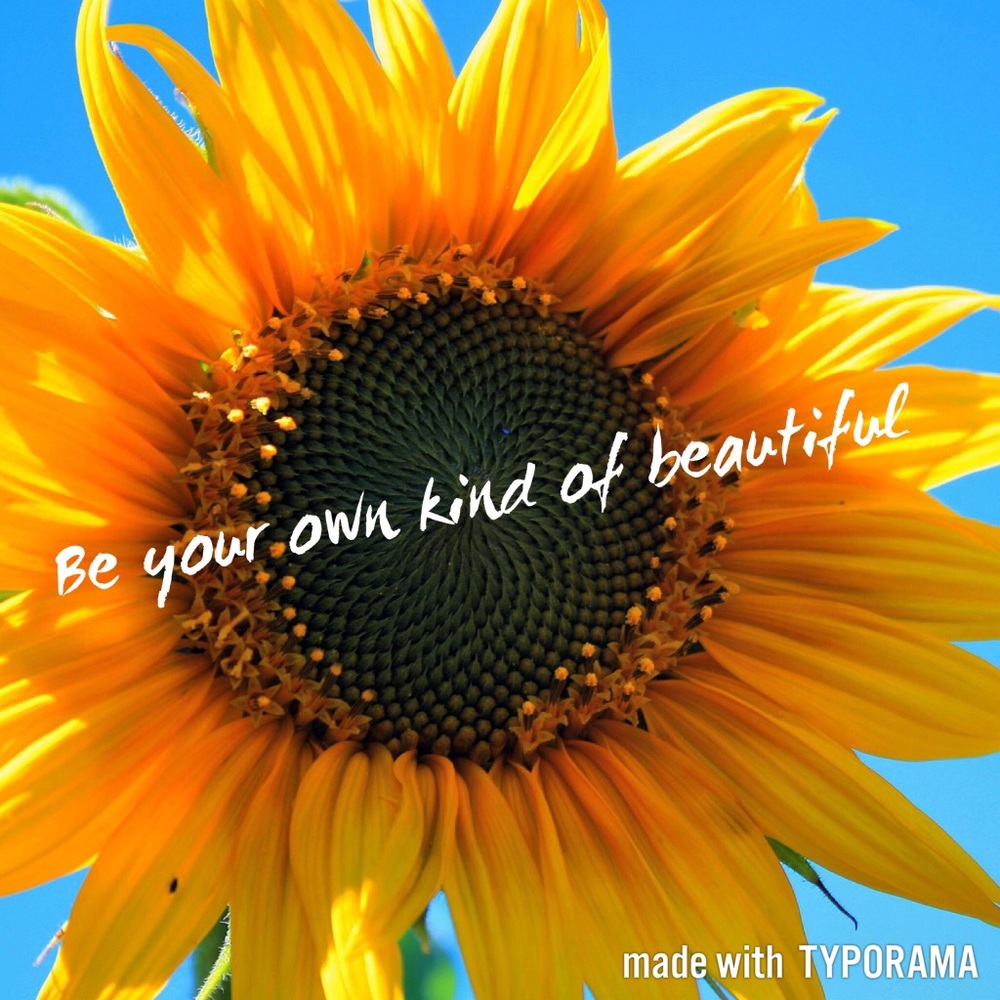 🌻